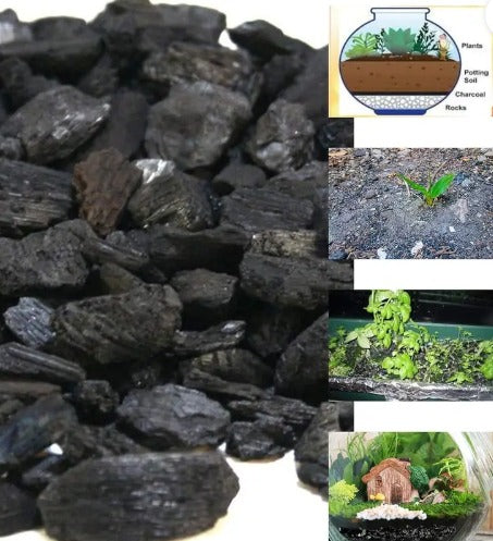Premium Plant Charcoal Granules| Gardening & Home Use| 1 KG